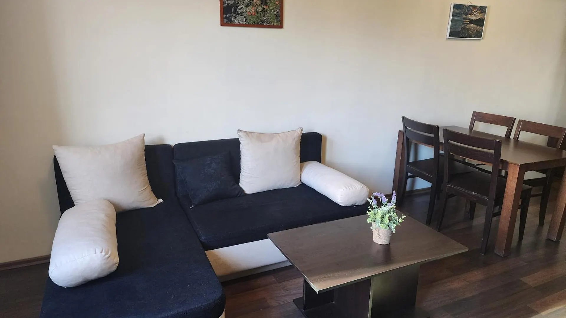 Pirin View Apartment 반스코
